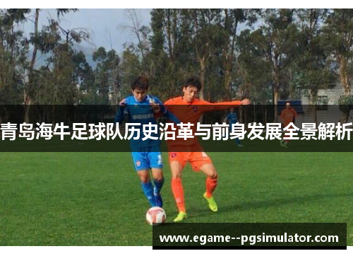 青岛海牛足球队历史沿革与前身发展全景解析