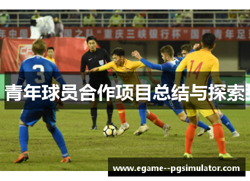青年球员合作项目总结与探索