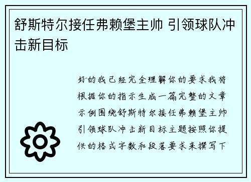 舒斯特尔接任弗赖堡主帅 引领球队冲击新目标